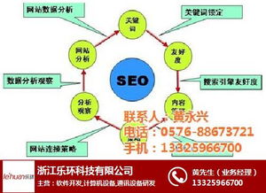 乐环科技 软件开发驱动下的外贸推广新选择